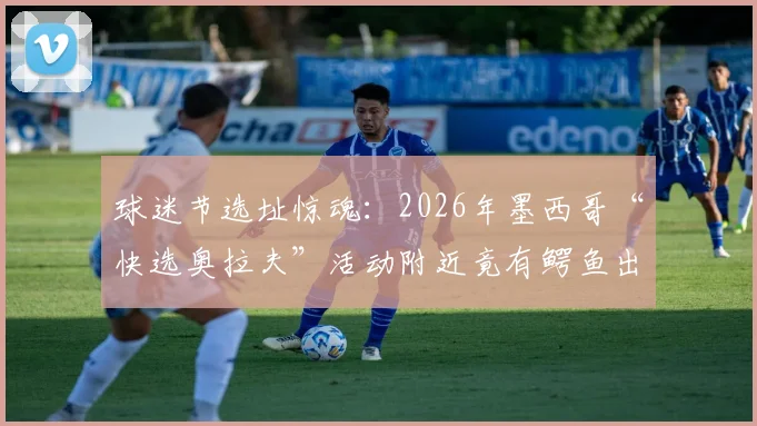 球迷节选址惊魂：2026年墨西哥“快选奥拉夫”活动附近竟有鳄鱼出没，安保引担忧