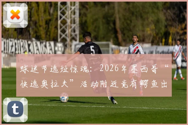 球迷节选址惊魂:2026年墨西哥“快选奥拉夫”活动附近竟有鳄鱼出没,安保引担忧
